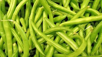 Brody Salad (Recipe)