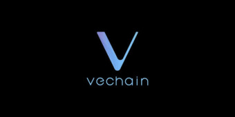 Vechain’s Sunny Answers some Questions