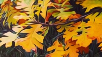 Color Challenge: Wednesday Yellow
