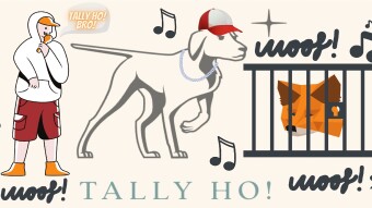 Who Let The Dogs Out? A Tally Ho Gangster Review