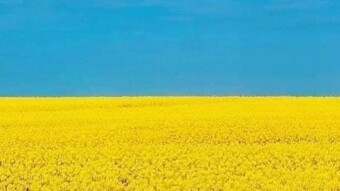 Hope for Ukraine; Everyone Indulge Dezinformatsiya
