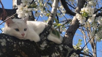 Spring is on its way!