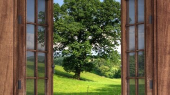Cuando una puerta se cierra, una ventana se abre