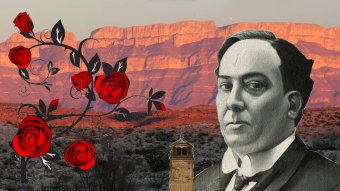 Roses in the Coal Mine