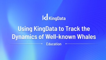 Using KingData to Track the Dynamics of Well-known Whales