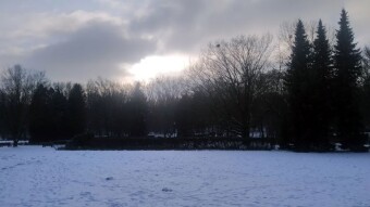 A pleasant winter with light snowfall - My Actifit Report Card: January 8, 2026