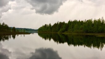 The wonderful world