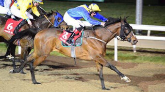 Poetic Choice (6.30 Dundalk, 19 Feb)
