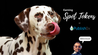 I Believe That $SPOT Will Get Listed On Binance And Coinbase In 2023