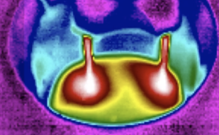 Making a Cup of Coffe in Infrared