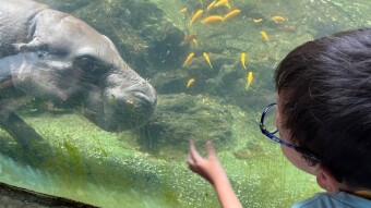 A day at the zoo