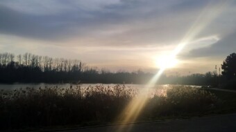 Sunday a bit cooler, but still spring-like - My Actifit Report Card: March 8, 2026