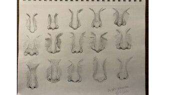 15 Noses to Pick From