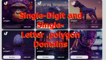 Single-Digit and Single-Letter .polygon Domains