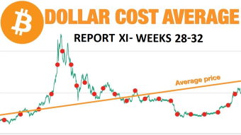 Great DCA experiment - report XI (weeks 28-32)