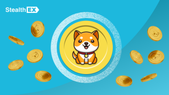 What Is Baby Doge Coin BABYDOGE? Where To Buy Baby Doge Coin? Baby Doge Price Prediction