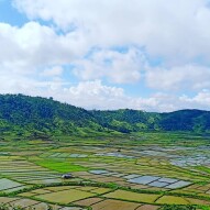 Paddy Field Surrounded By The Mighty Hills