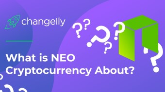 NEO: What do you need to know? [A Complete Guide To Help You Understanding NEO]