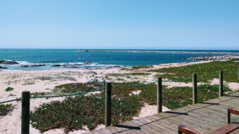 Trip Portugal - The beach in Portugal at the time of spring