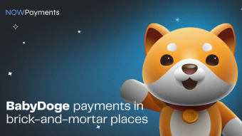 How to Accept BabyDoge Payments in Brick-and-Mortar Places?