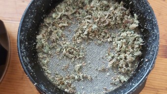 Gorilla Glue