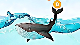 $ 85 million in the EOS cryptocurrency moved the whales today in two transfers.