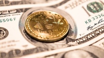 How important is cryptocurrency in the eyes of the world