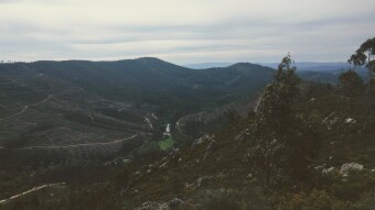Trip to Portugal - Couce