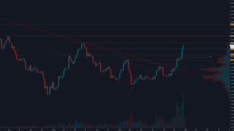Litecoin goes parabolic. How long does this go on.....