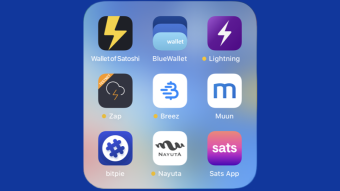 Which Lightning Wallet is the Best One (Pros and Cons)