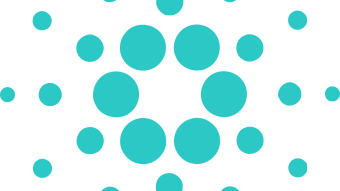 Are we sleeping on Cardano?