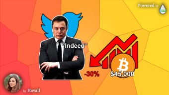 ELON MUSK's reply on Twitter and BITCOIN DROPS AGAIN...📉