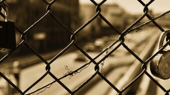 Constraints Innovate