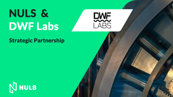 NULS & DWF Labs Strategic Investment & Partnership Announcement