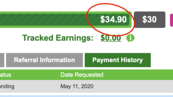 How I made about 90 dollars in 2 weeks completing surveys