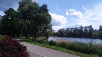 A pretty nice day for a walk. Not too cold, not too warm and no rain - My Actifit Report Card: May 24, 2025