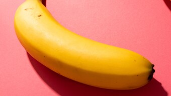 Say the Word "Colloquially" Three Times Fast While Learning About Banana Trees