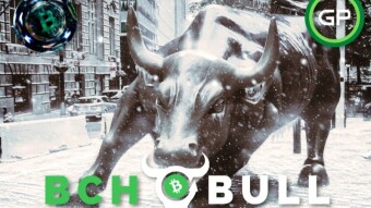 I TESTED "BCH Bull" And Here's What You NEED To KNOW!