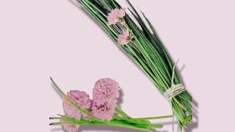 From Garden to Plate: Investigating the Health Advantages of Growing and Consuming Chives