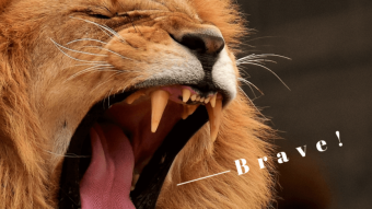Fortune favors the Brave (browser)?
