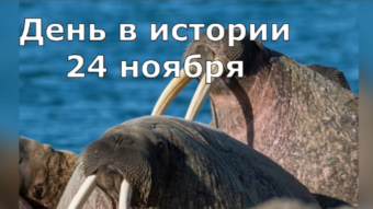 #♞ 24 ноября - праздники и исторические события дня 🐇
