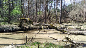 The area around the Centuria River, a walk through the Jura
