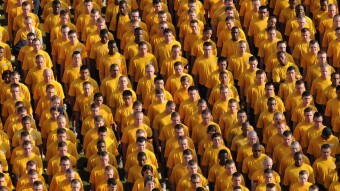 Further expanding on the issue of crowdfunding fraud
