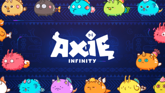 Metaverse in Axie Infinity