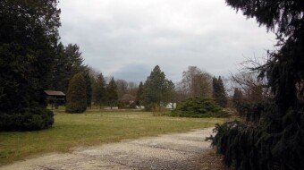 Not much sun, but warm, finally spring! - My Actifit Report Card: March 14 2023