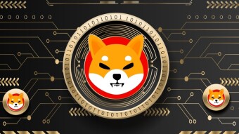 Shiba Inu Changed My Life