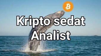 Are Bitcoin (BTC) whales preparing for sale?