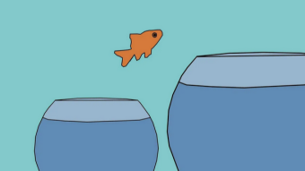 Let's talk about positive growth