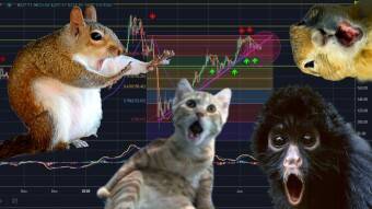 The biggest important moves will happen this week on these 4 crypto / XLM, LEO, ADA, ETH...