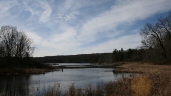 Weekend Nature Walk: A glacial lake and a forest covered in artist's bracket